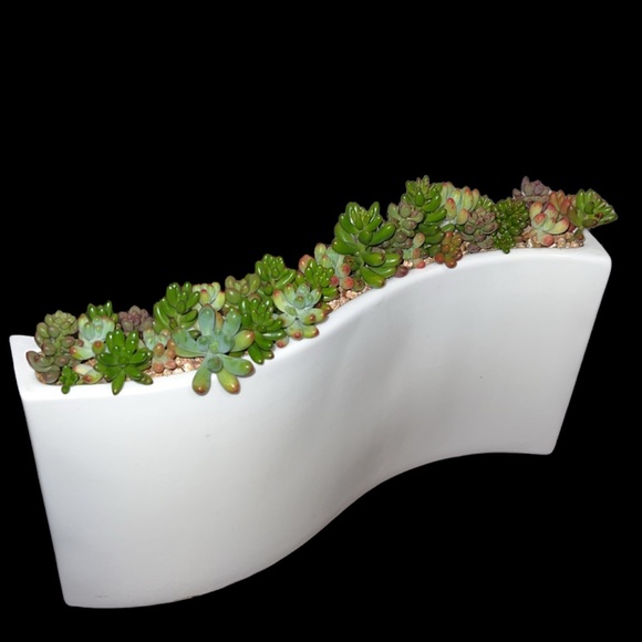 Meet your Posher, Rona - Picture 2 of 11